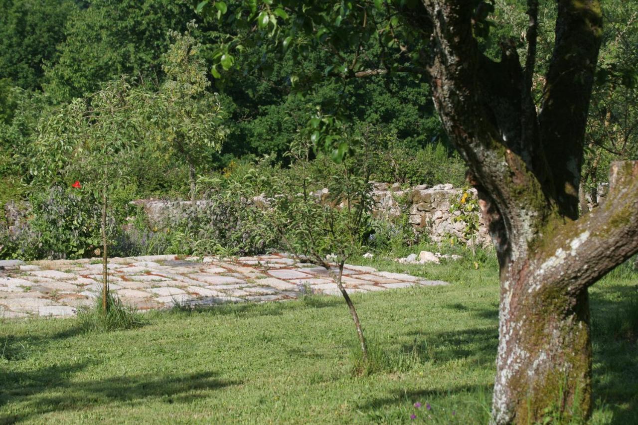 Pazo De Chaioso Ribeira Sacra Maceda Kültér fotó