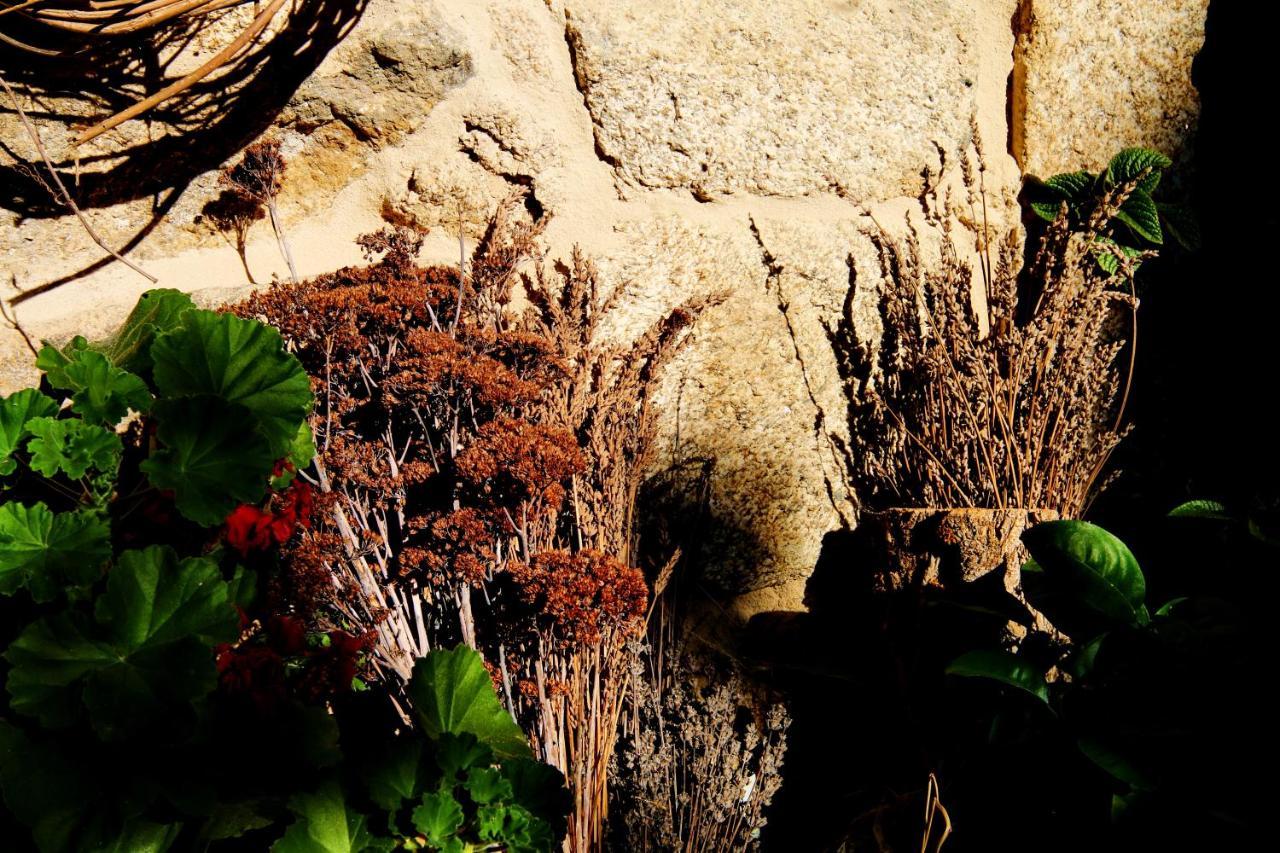 Pazo De Chaioso Ribeira Sacra Maceda Kültér fotó
